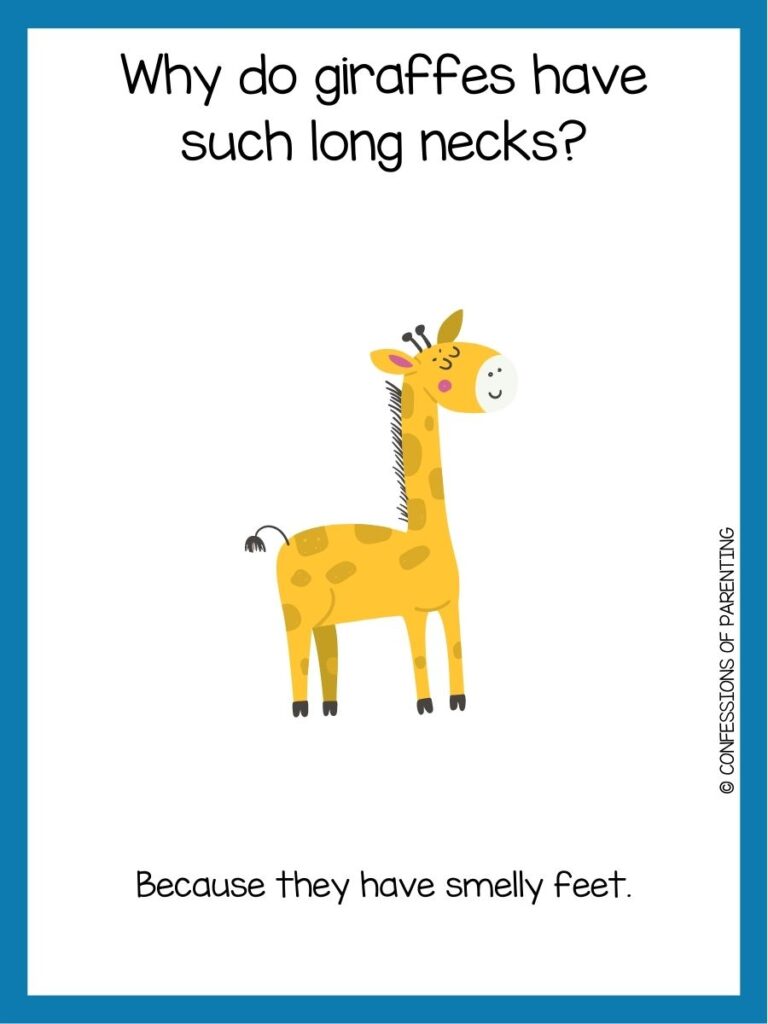 in post image with white background and blue border, text with a toddler joke and image of a giraffe