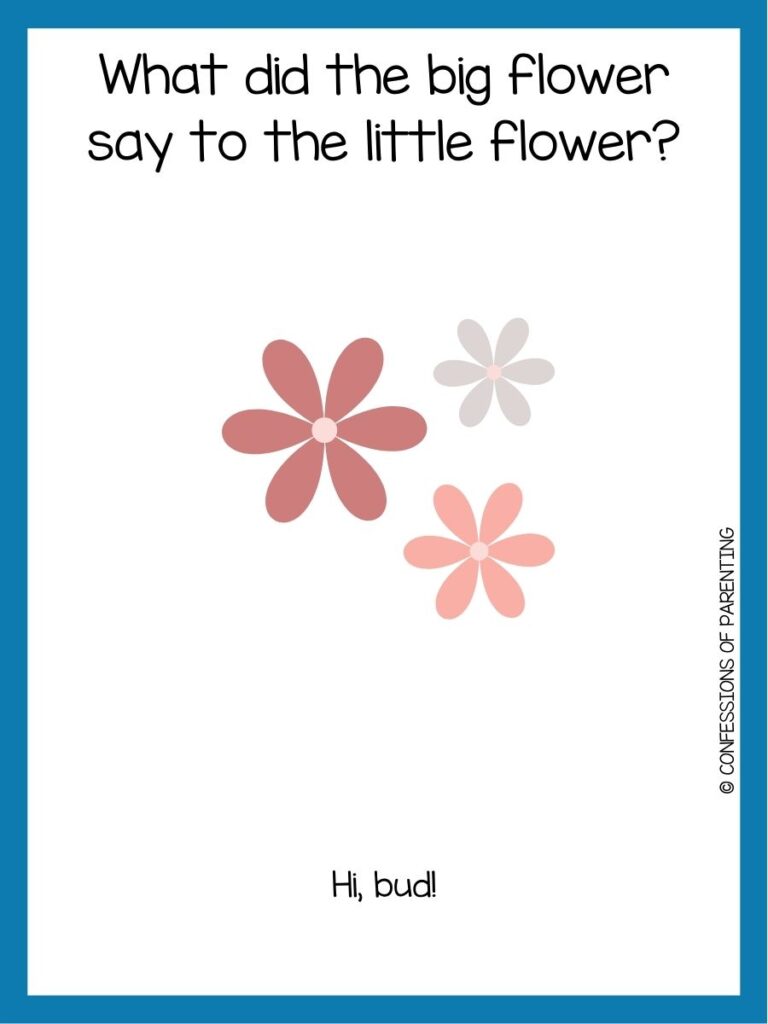 in post image with white background and blue border, text with a toddler joke and image of flower