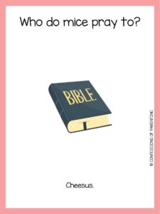 120 Bible Jokes to Add Some Humor to Your Bible Study