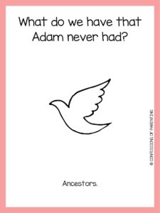 120 Bible Jokes to Add Some Humor to Your Bible Study