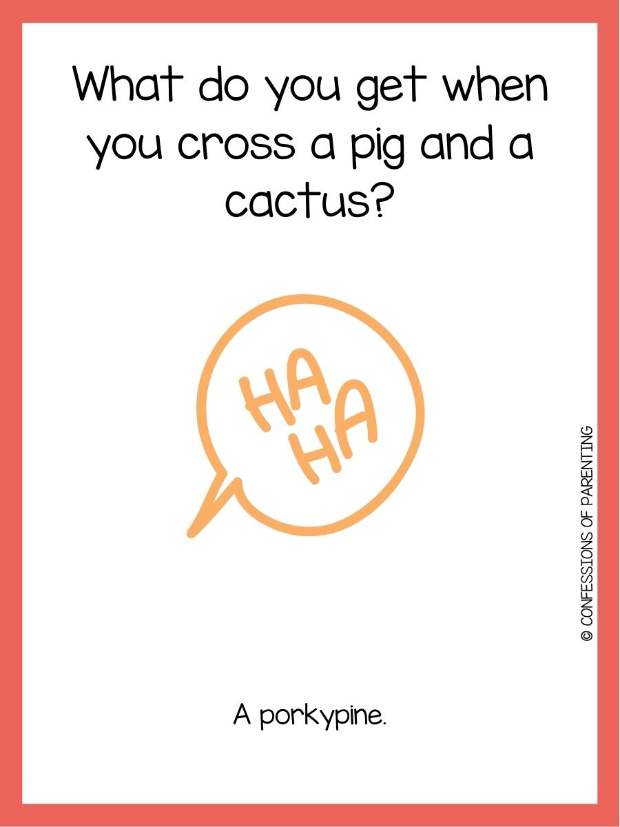 99 Funniest Laffy Taffy Jokes That Are Super Sweet