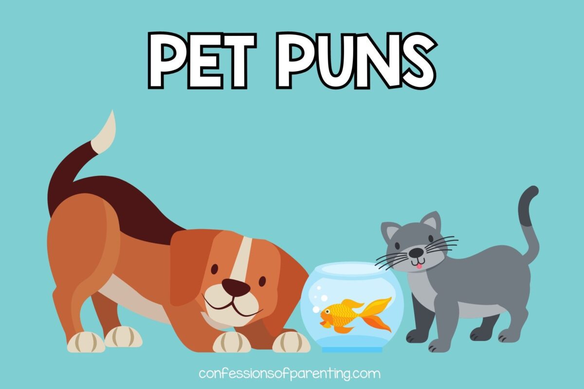 170 Pawsitively Purrfect Pet Puns You'll Love