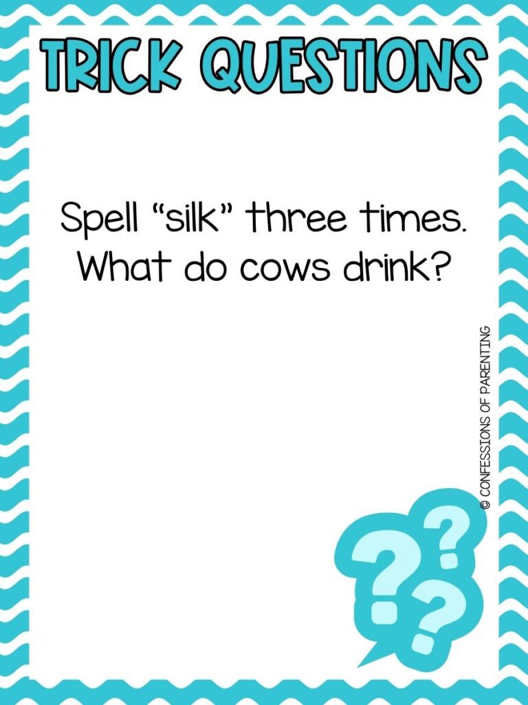 Printable trick question card asking what cows drink after spelling silk three times
