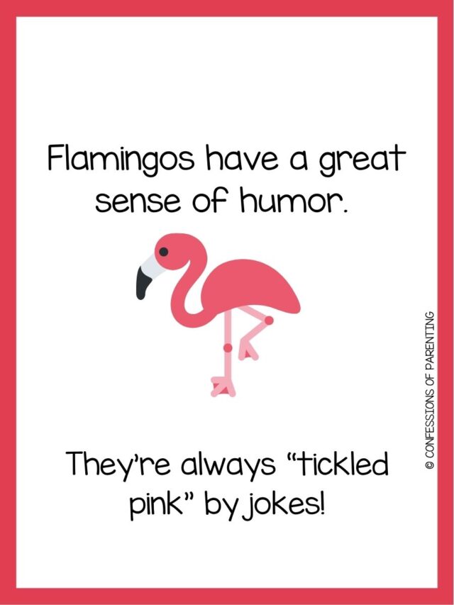 200 Flamingo Puns That Make You Flap With Fun [Free