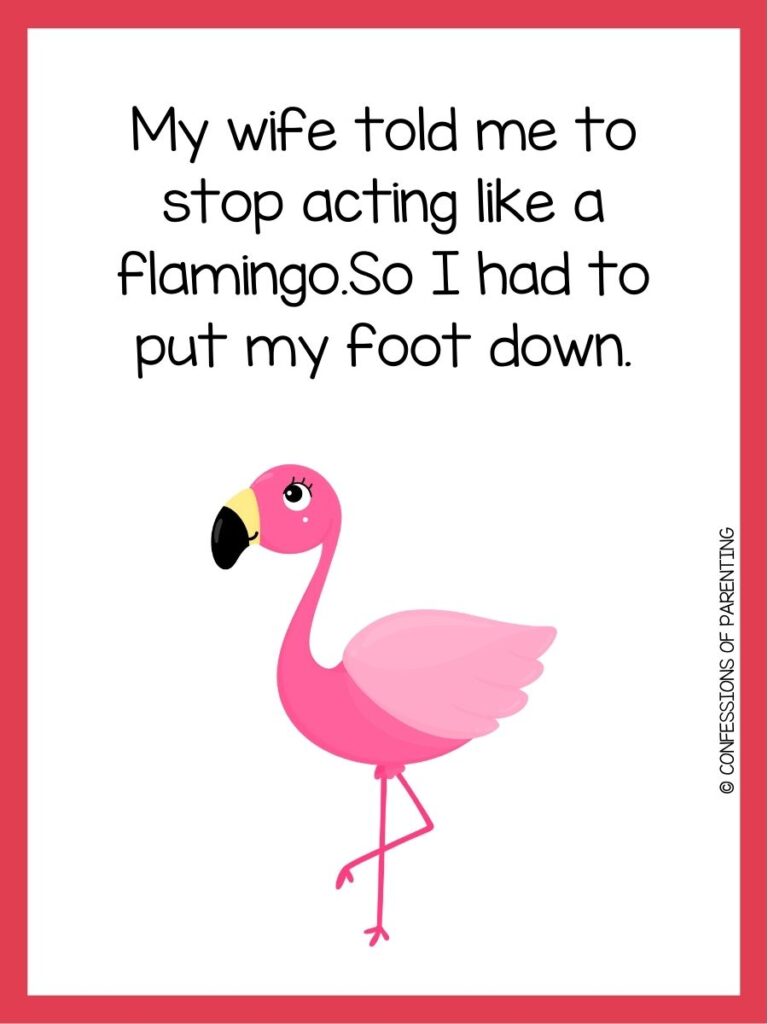 in post image with white background, coral border, text of a flamingo pun, and an image of a flamingo