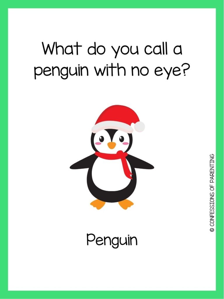 in post image with white background, green border, text of penguin jokes and an image of a penguin