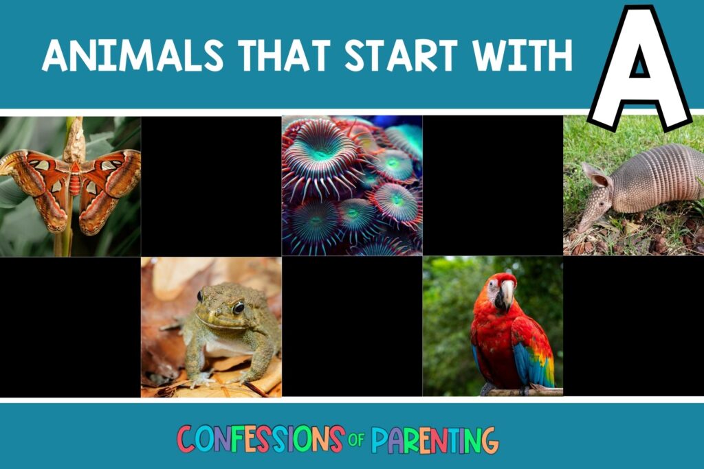 featured image with teal background, bold white title that says "Animals That Start with A" and images of animals that start with A