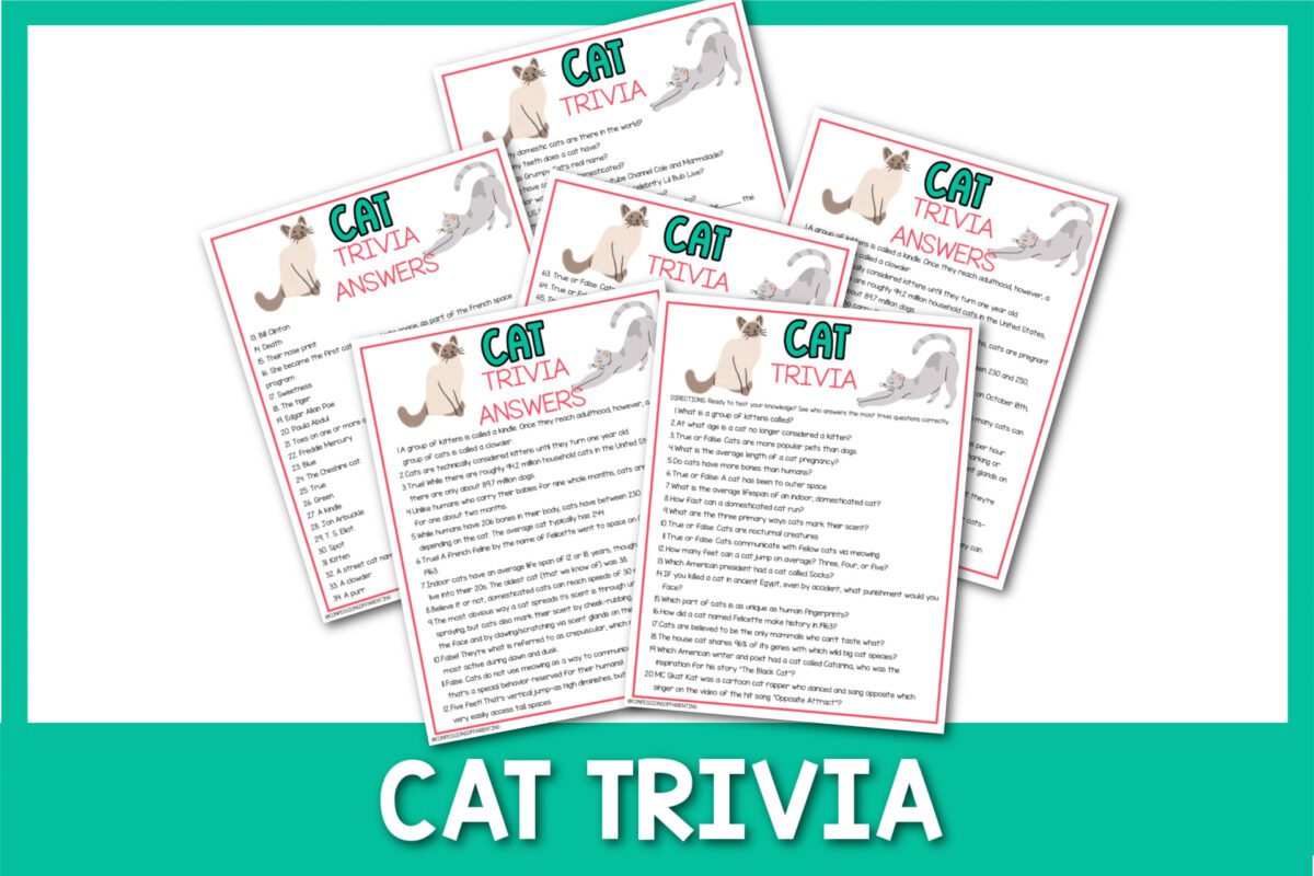 50 Purrfect Cat Trivia Questions and Answers