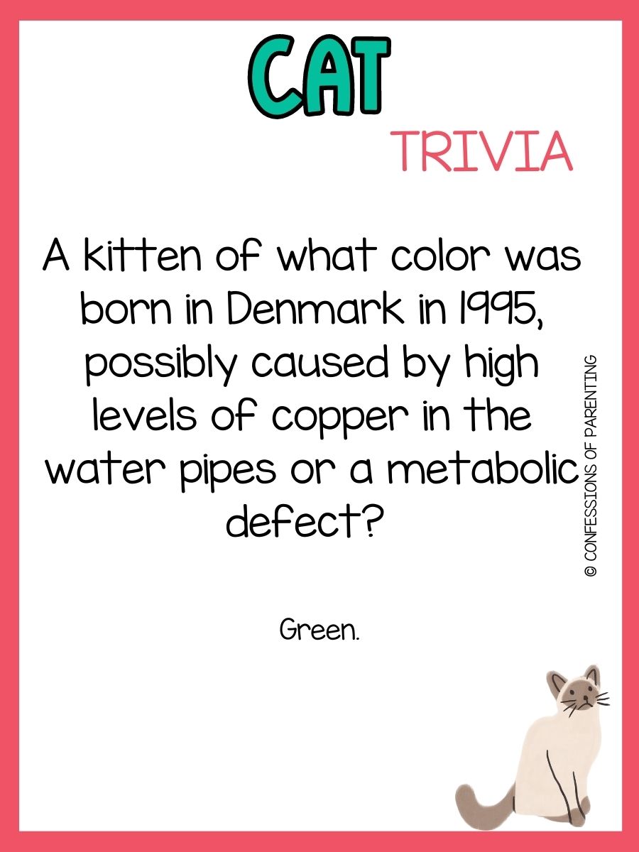 50 Purrfect Cat Trivia Questions and Answers