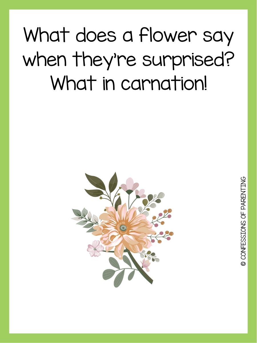 160 Best Flower Puns That Will Make Your Daisy!