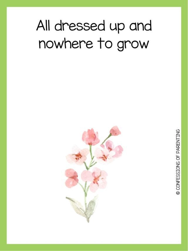 160 Best Flower Puns That Will Make Your Daisy!