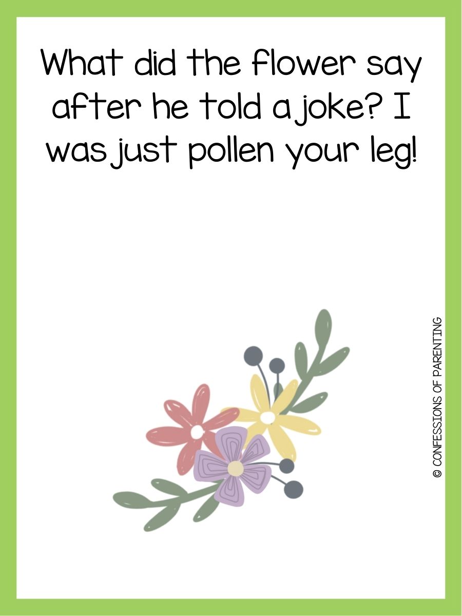 160 Best Flower Puns That Will Make Your Daisy!