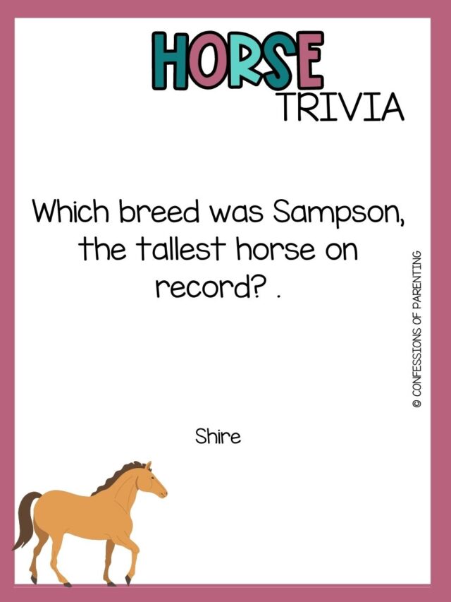 98-horse-trivia-questions-and-answers-perfect-for-your-little-equestrian