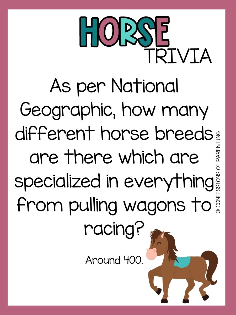 98 Horse Trivia Questions and Answers Perfect for Your Little Equestrian