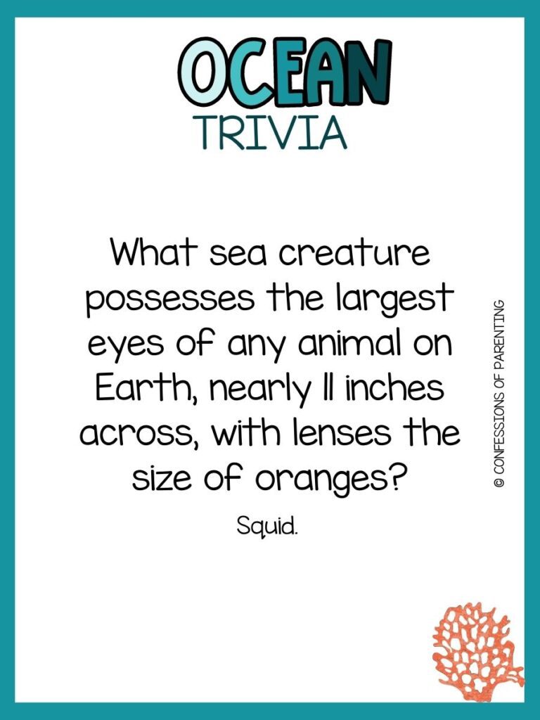 in post image with white background, teal border, bold title that says "Ocean Trivia", text of trivia question, and an image of coral. 
