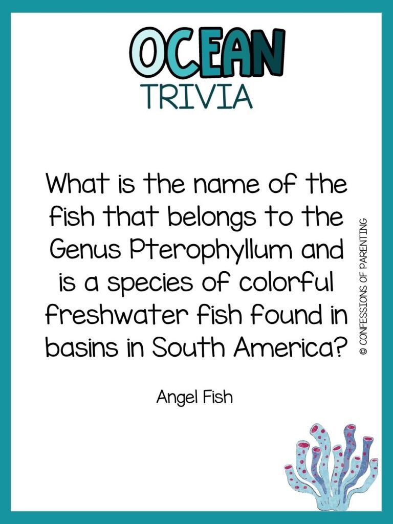 in post image with white background, teal border, bold title that says "Ocean Trivia", text of trivia question, and an image of coral. 