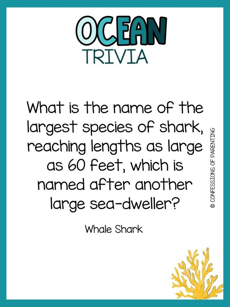 in post image with white background, teal border, bold title that says "Ocean Trivia", text of trivia question, and an image of coral. 