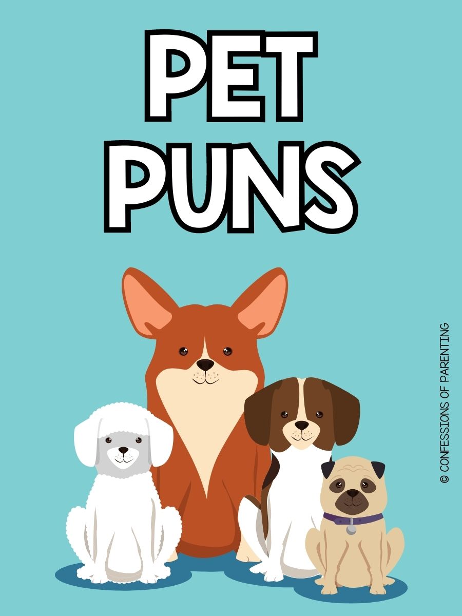 170 Pawsitively Purrfect Pet Puns You'll Love