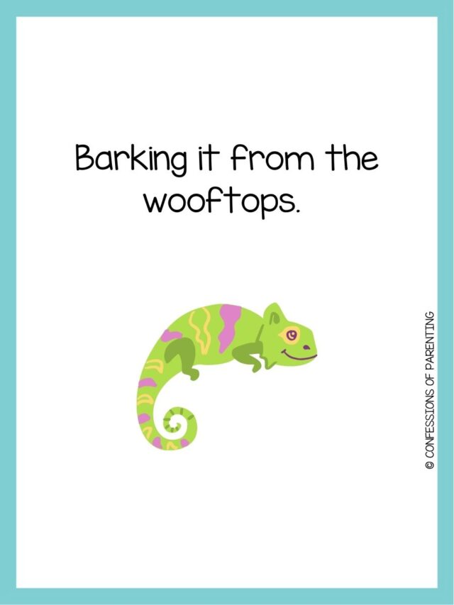 170 Pawsitively Purrfect Pet Puns You'll Love