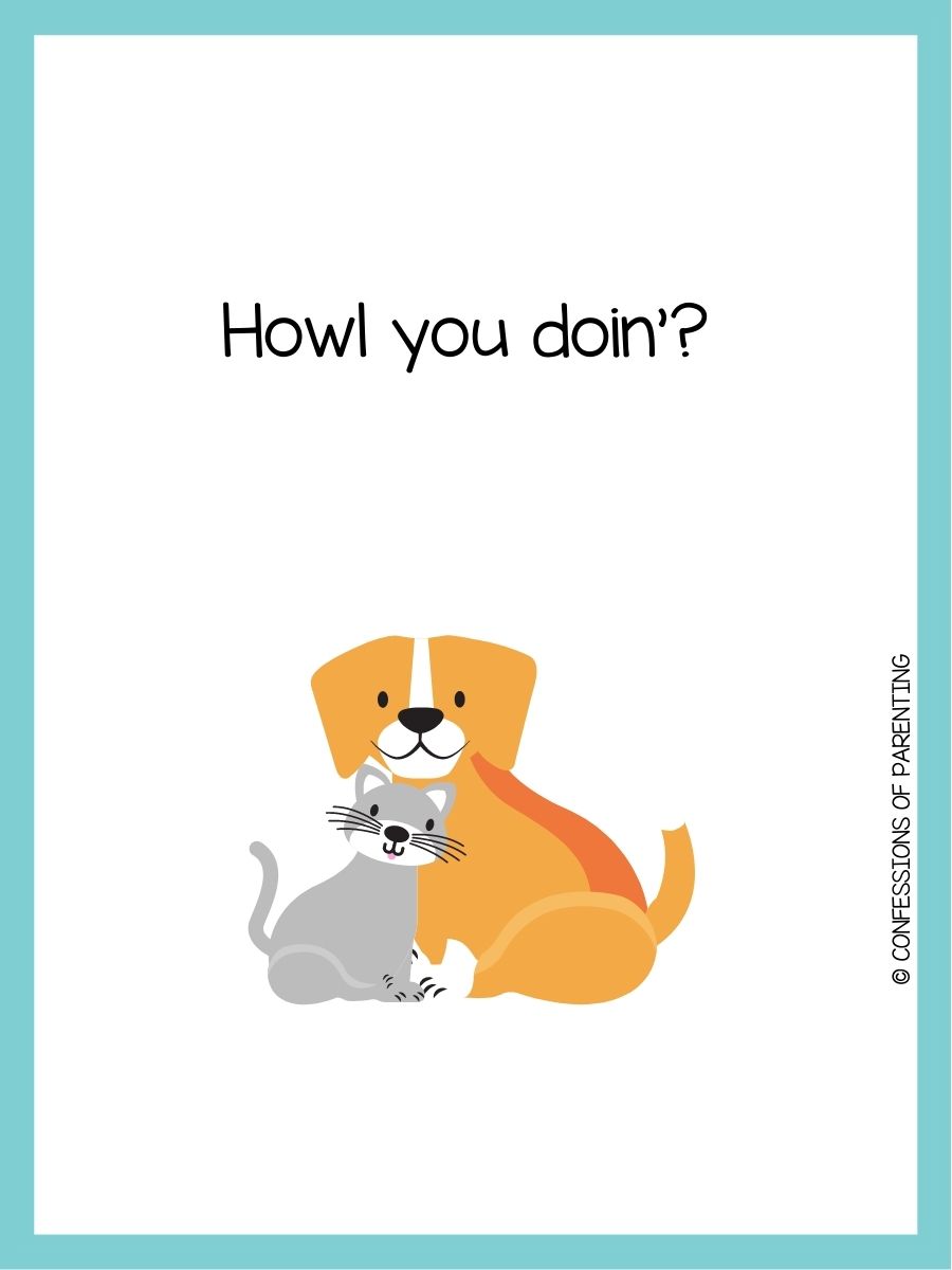 170 Pawsitively Purrfect Pet Puns You'll Love [Free Pun Cards]