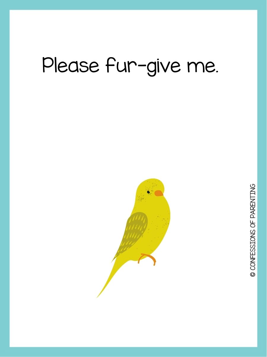 170 Pawsitively Purrfect Pet Puns You'll Love