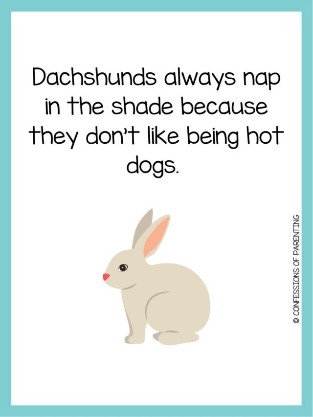 170 Pawsitively Purrfect Pet Puns You'll Love