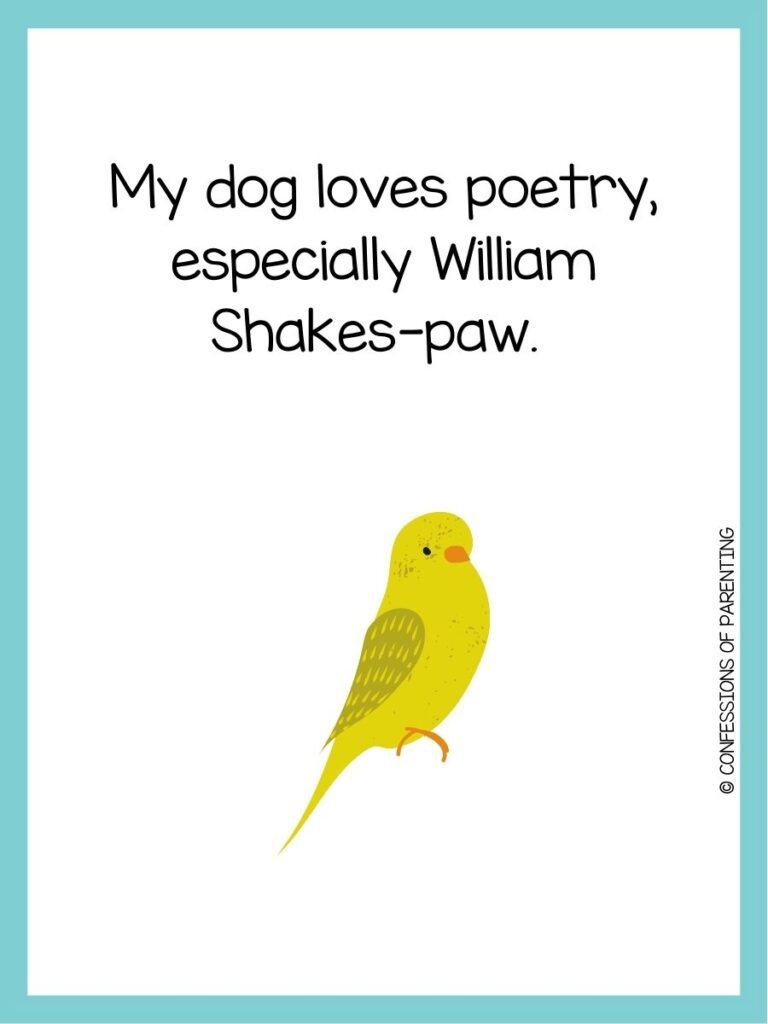 170 Pawsitively Purrfect Pet Puns You'll Love [Free Pun Cards]