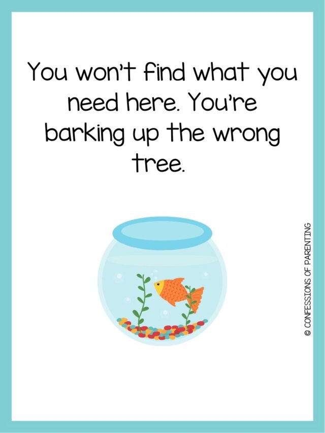 170 Pawsitively Purrfect Pet Puns You'll Love