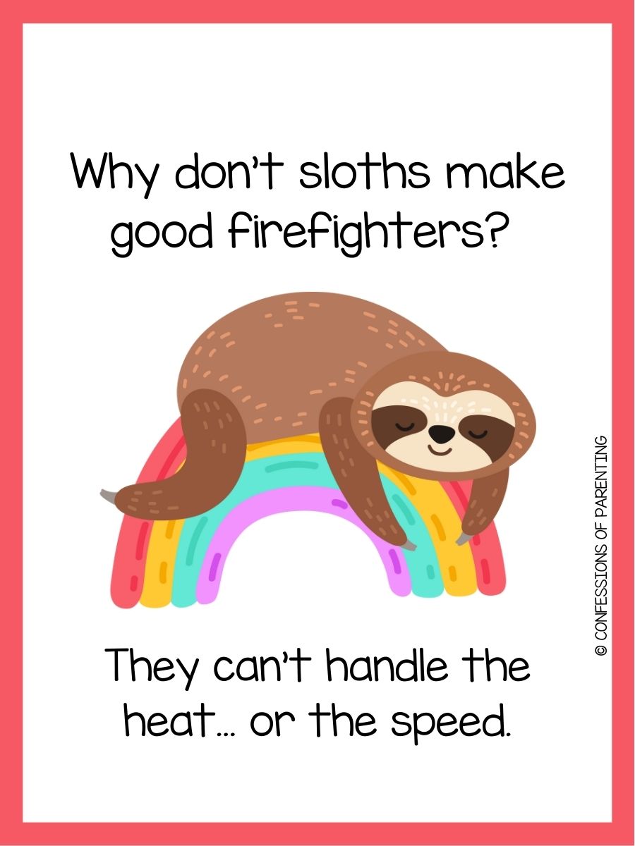 200 Funny Sloth Puns You'll Love