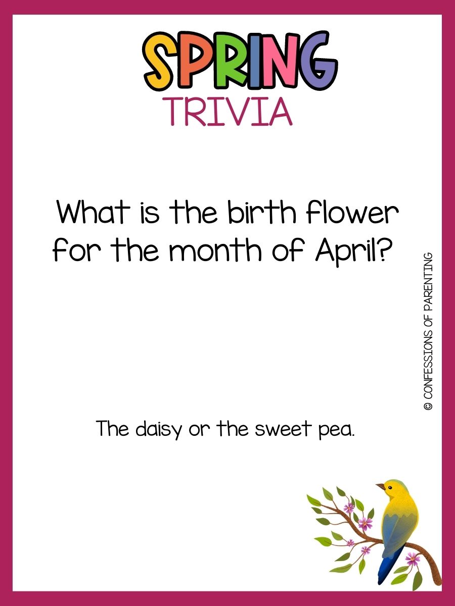 100 Best Spring Trivia Questions and Answers