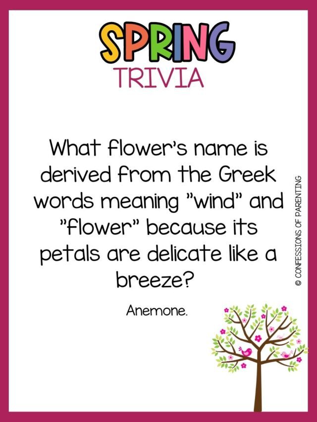 100 Best Spring Trivia Questions and Answers