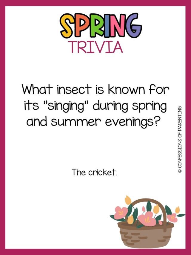 100 Best Spring Trivia Questions and Answers