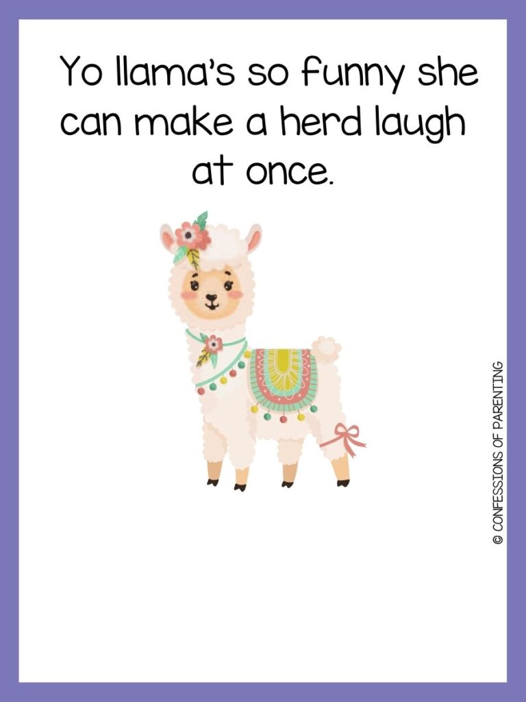 llama pun with purple border