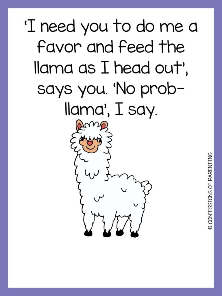 llama pun with purple border