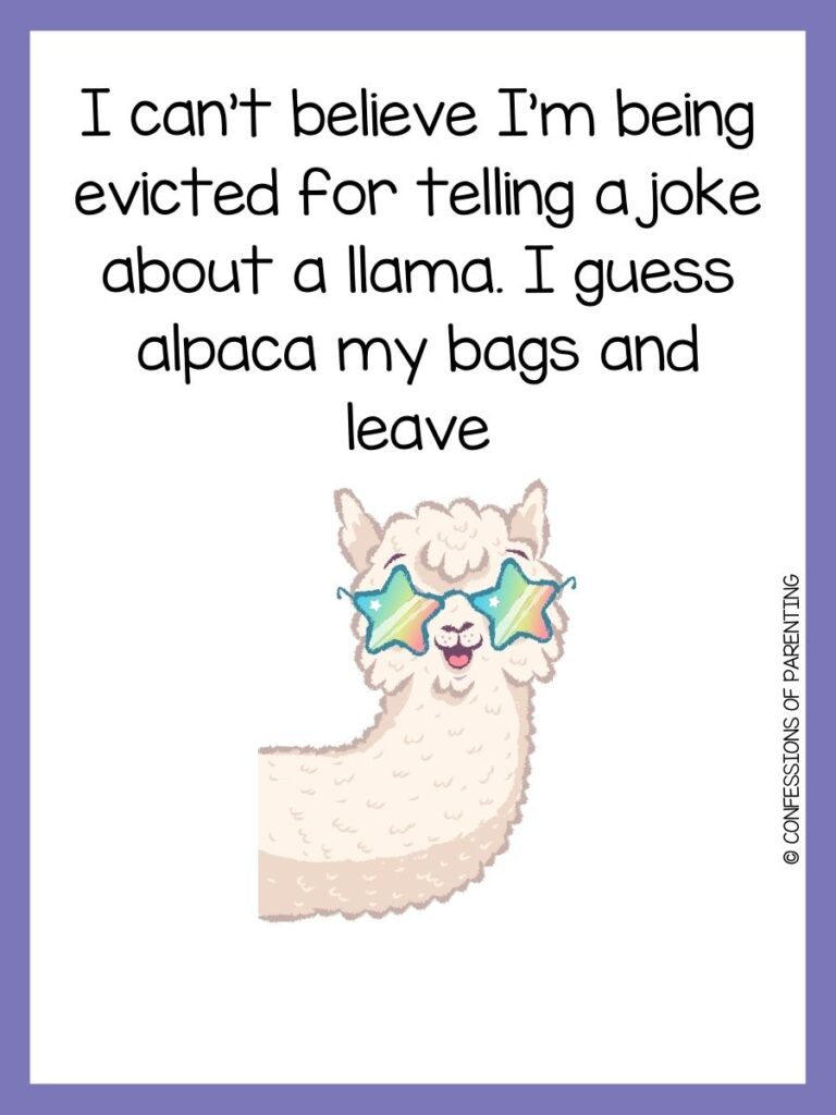 llama pun with purple border