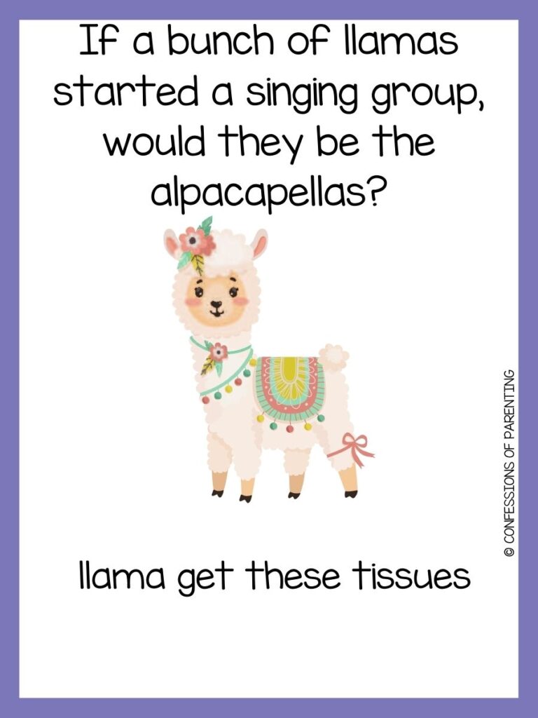llama pun with purple border