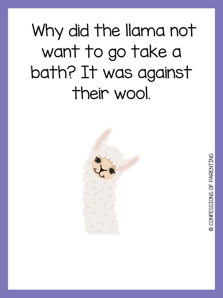 llama pun with purple border