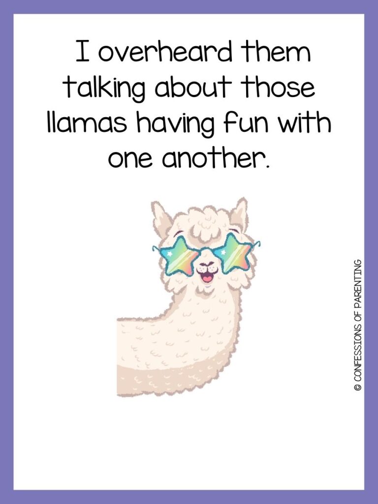 llama pun with purple border