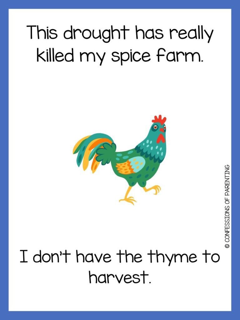 in post image with white background, blue border, text of farm jokes and an image of a colorful rooster
