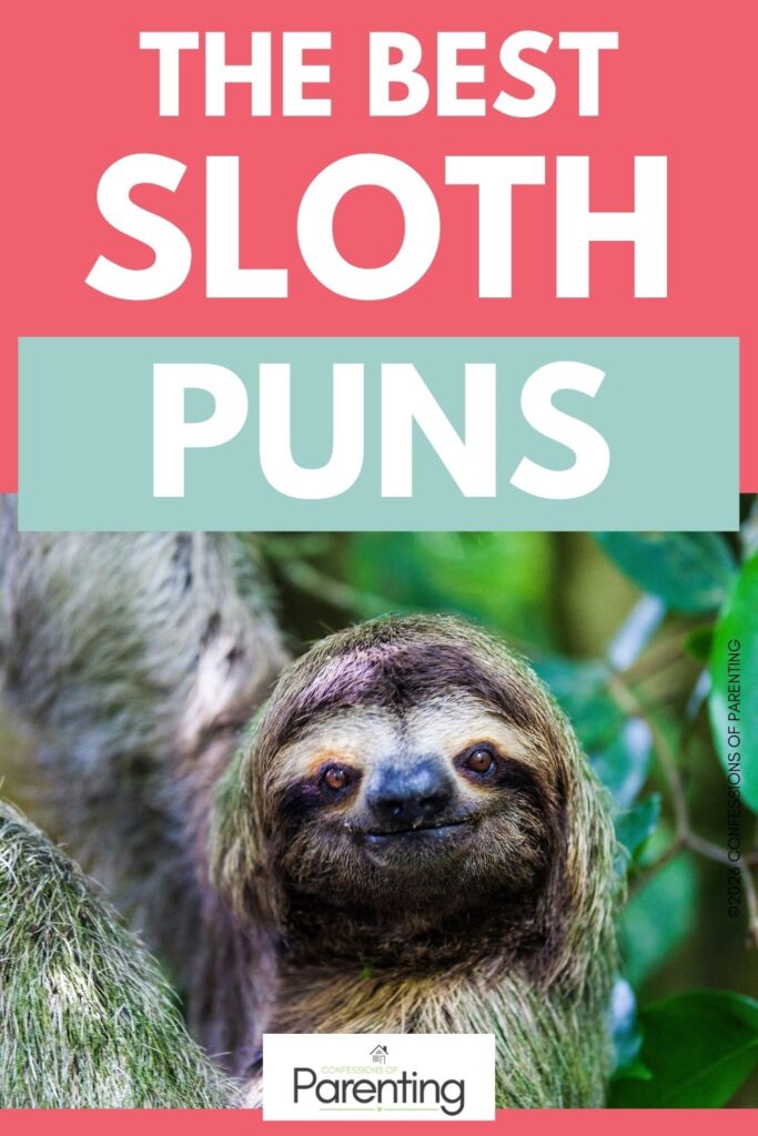 Best sloth puns cover image showing smiling real sloth in jungle with bold title text, introducing funny sloth jokes and slow-themed humor.