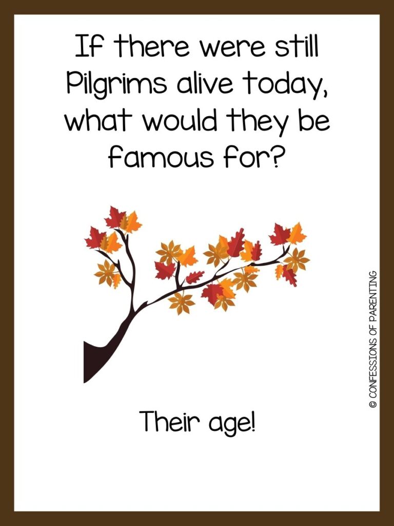white background, brown border, saying November jokes with a image of a tree branch with dry leaves
