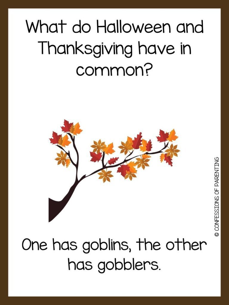 white background, brown border, saying November jokes with a image of a tree branch with dry leaves
