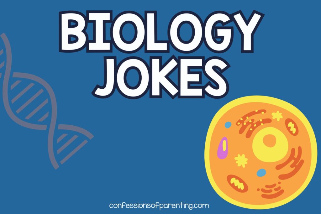 feature image in blue background, white text saying "biology jokes"