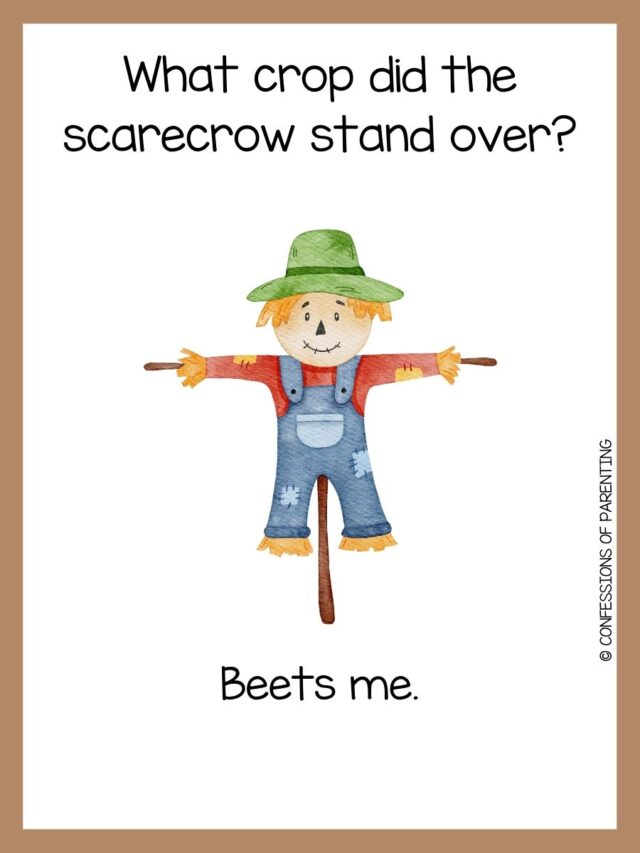 75 Best Scarecrow Jokes That Scare The Birds With Laughs