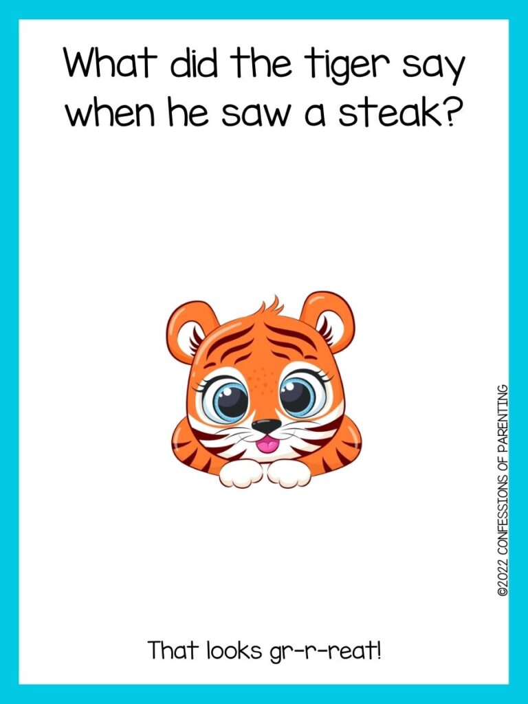 in post image with white background, light blue border, text of tiger jokes and an image of a cute baby tiger
