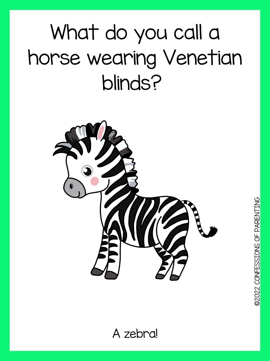 Best Zebra Jokes [Free Joke Cards]