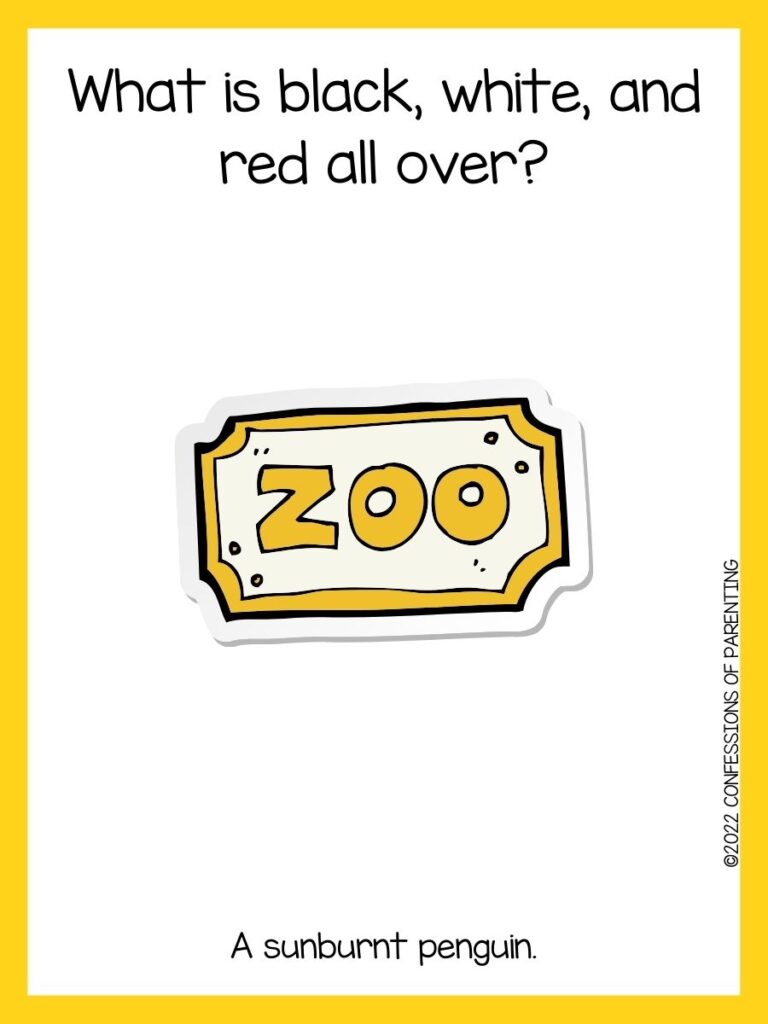 in post image with white background, yellow border, text of zoo jokes and an image of a zoo signage in yellow
