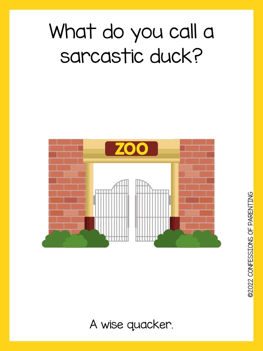100+ Zoorific Zoo Jokes [Free Joke Cards]