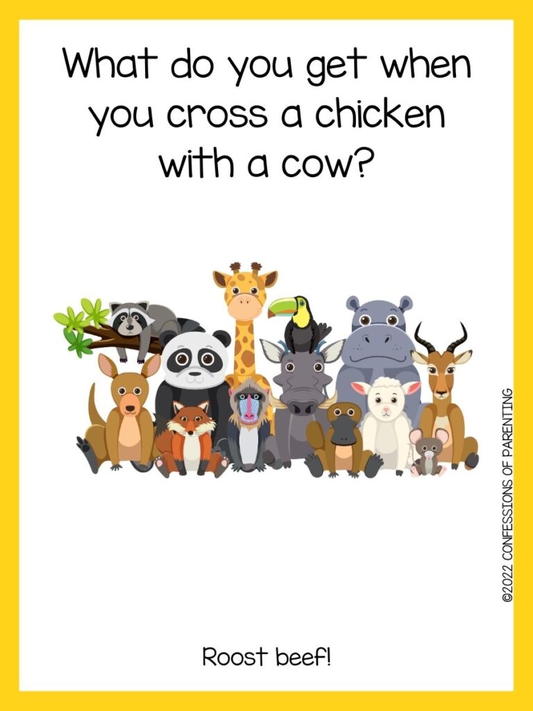 in post image with white background, yellow border, text of zoo jokes and an image of a different kinds of  animals while sitting 
