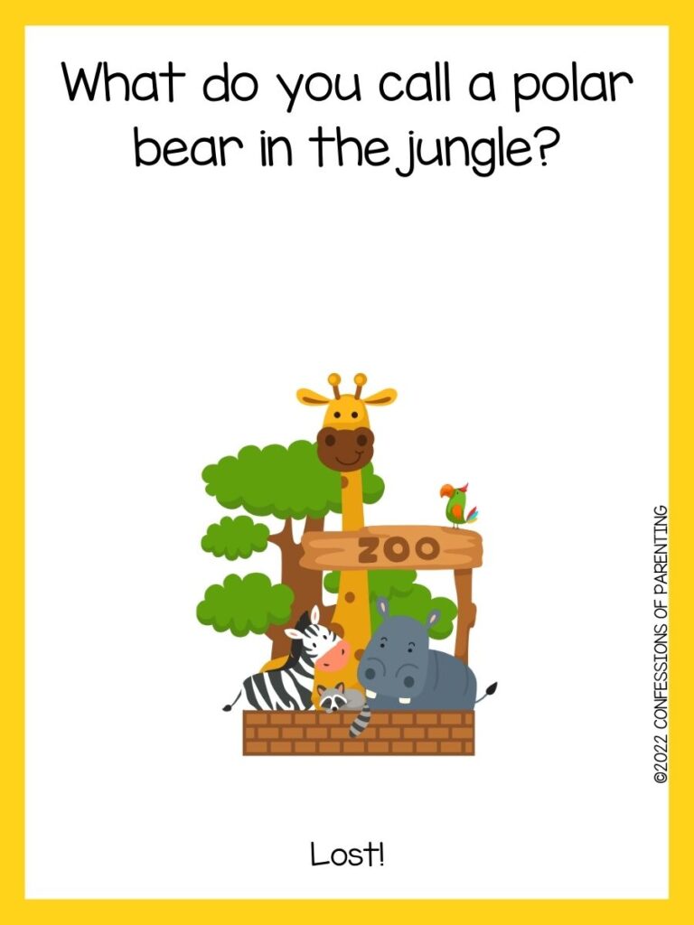 in post image with white background, yellow border, text of zoo jokes and an image of a zoo animals and a tree in zoo entrance